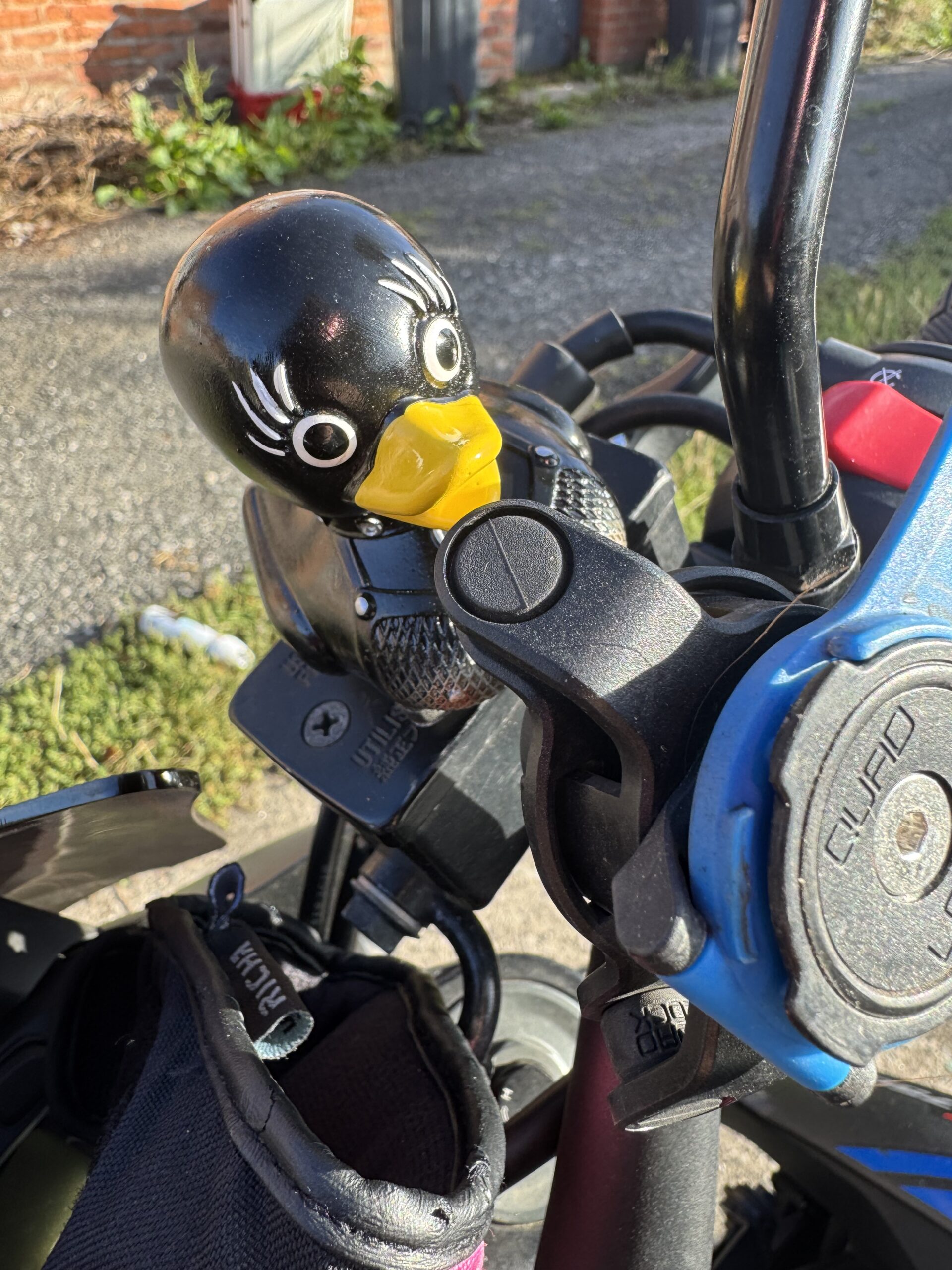 Linda’s first ride